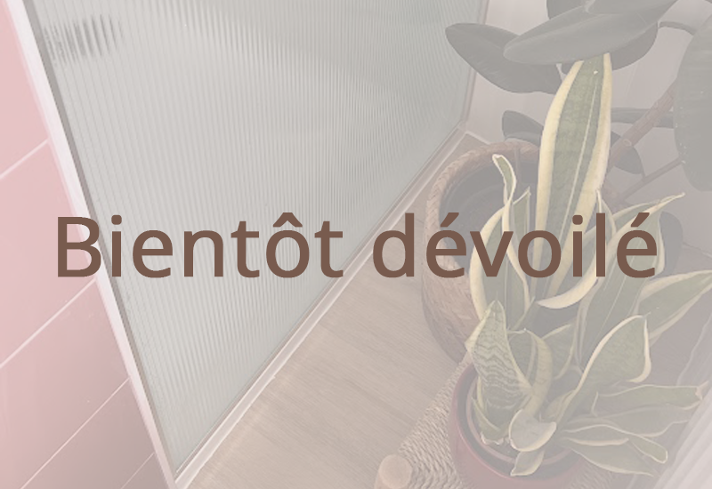 projet Bientot dévoilé